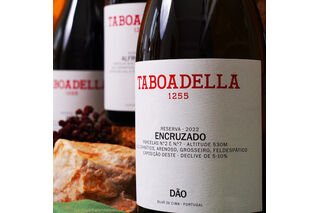 Toboadella Encruzado