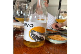 Ruivo Vino